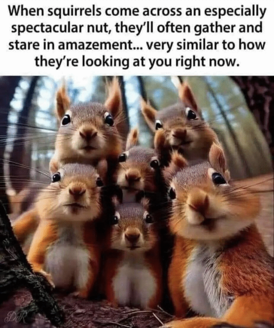 Children's Gifts